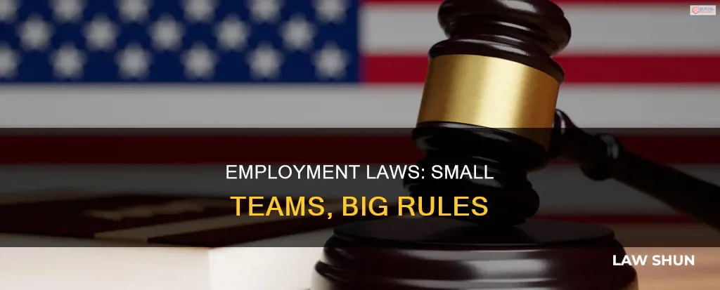 which employment laws apply to 10 employees