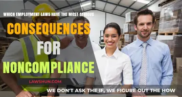 Noncompliance Consequences: Employment Laws with Severe Penalties for Businesses