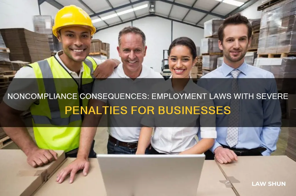 which employment laws have the most serious consequences for noncompliance