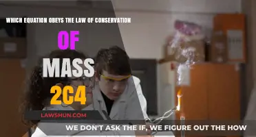 Understanding the Law of Conservation of Mass: Does 2C4 Equation Apply?