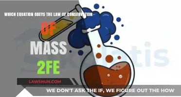 Chemical Reactions: Which Equation Follows Conservation of Mass for 2Fe?