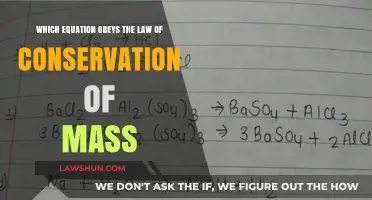 Equations Upholding Conservation of Mass: Balancing Chemical Reactions