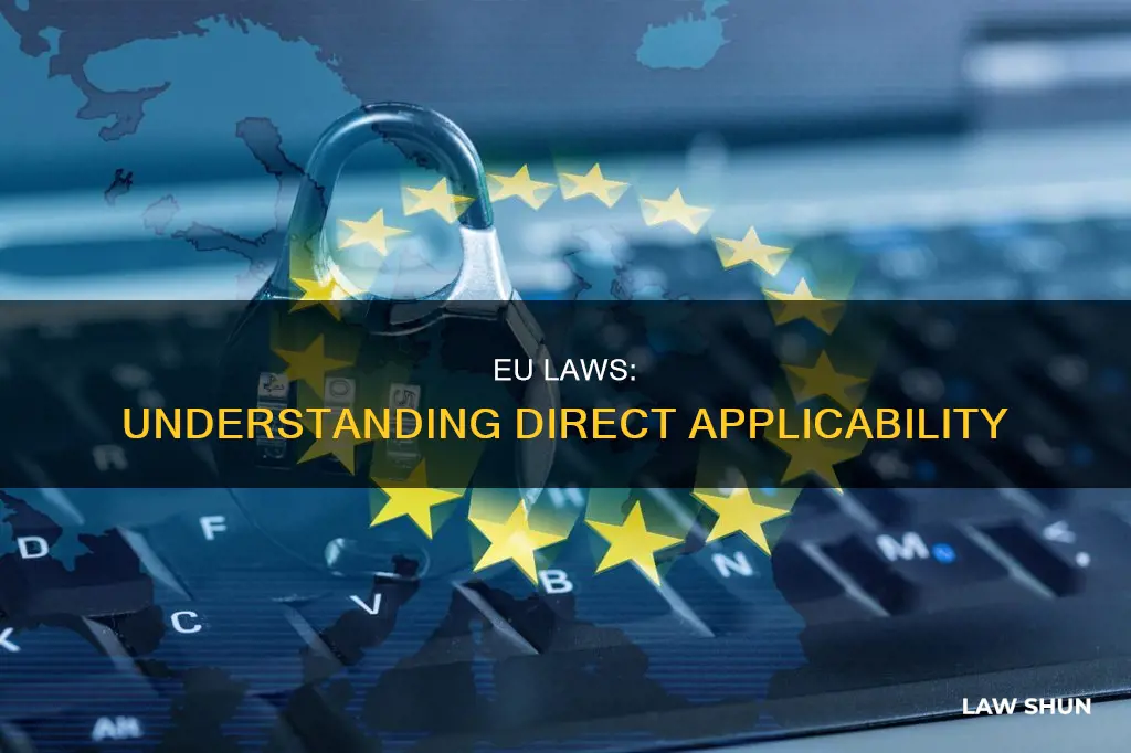 which eu law can be directly applicable