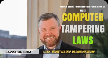 The Morris Worm: Catalyst for Modern Computer Tampering Laws