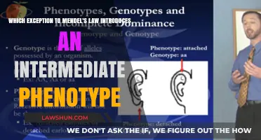 Unraveling Incomplete Dominance: The Exception Behind Intermediate Phenotypes