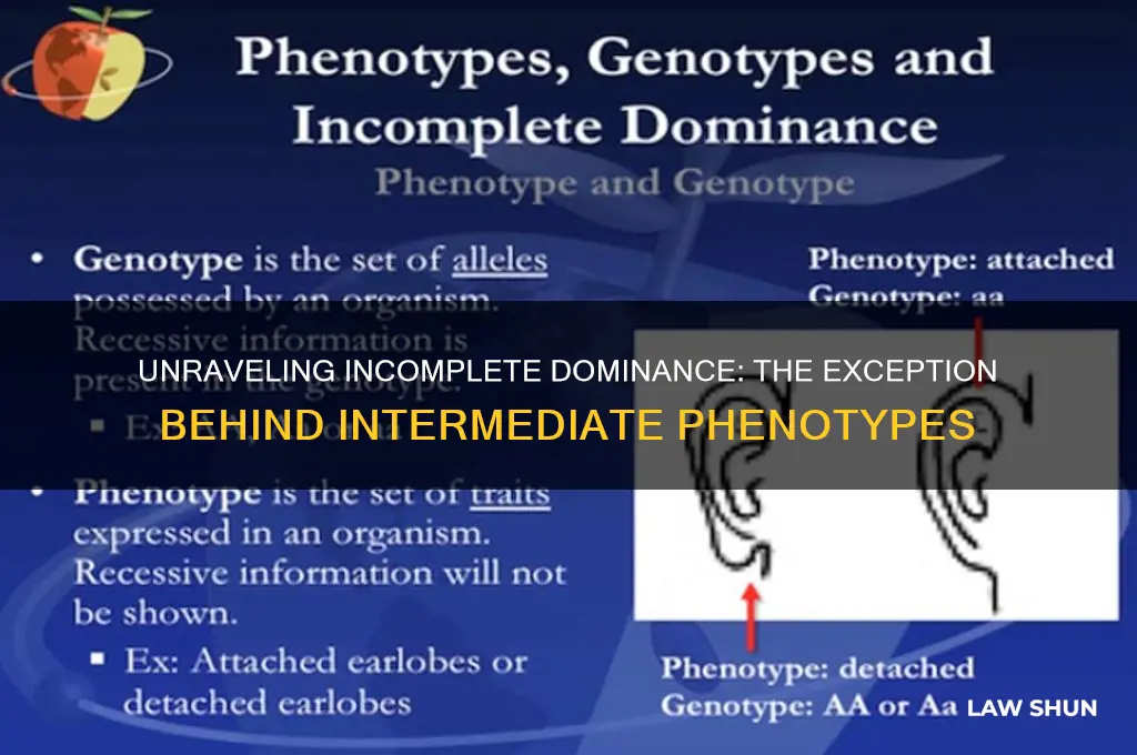 which exception to mendel