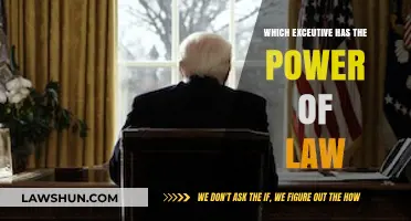 Executive Authority: Who Holds the Power to Create and Enforce Laws?