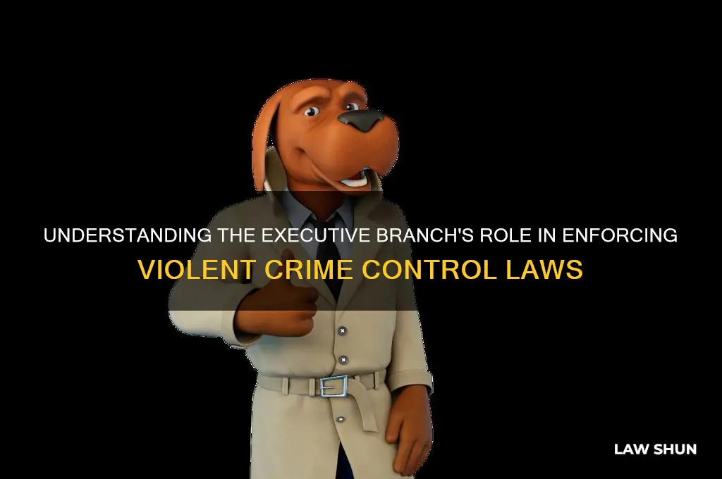 which executive branch executes the violent crime control and law