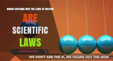 Why the Laws of Motion Stand as Universal Scientific Principles