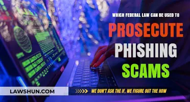 Phishing Scams: Federal Laws to Prosecute Criminals