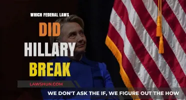 Hillary's Legal Missteps: Uncovering the Federal Laws She Violated