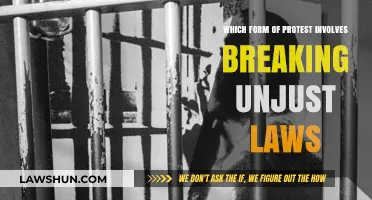 Unjust Laws: The Power of Civil Disobedience