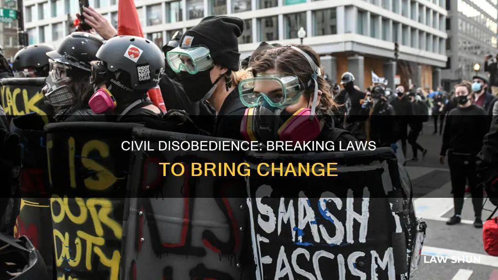 which form of protest involves breaking unjust laws