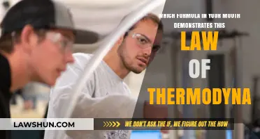 Oral Chemistry: How Thermodynamics Laws Shape Mouth Reactions