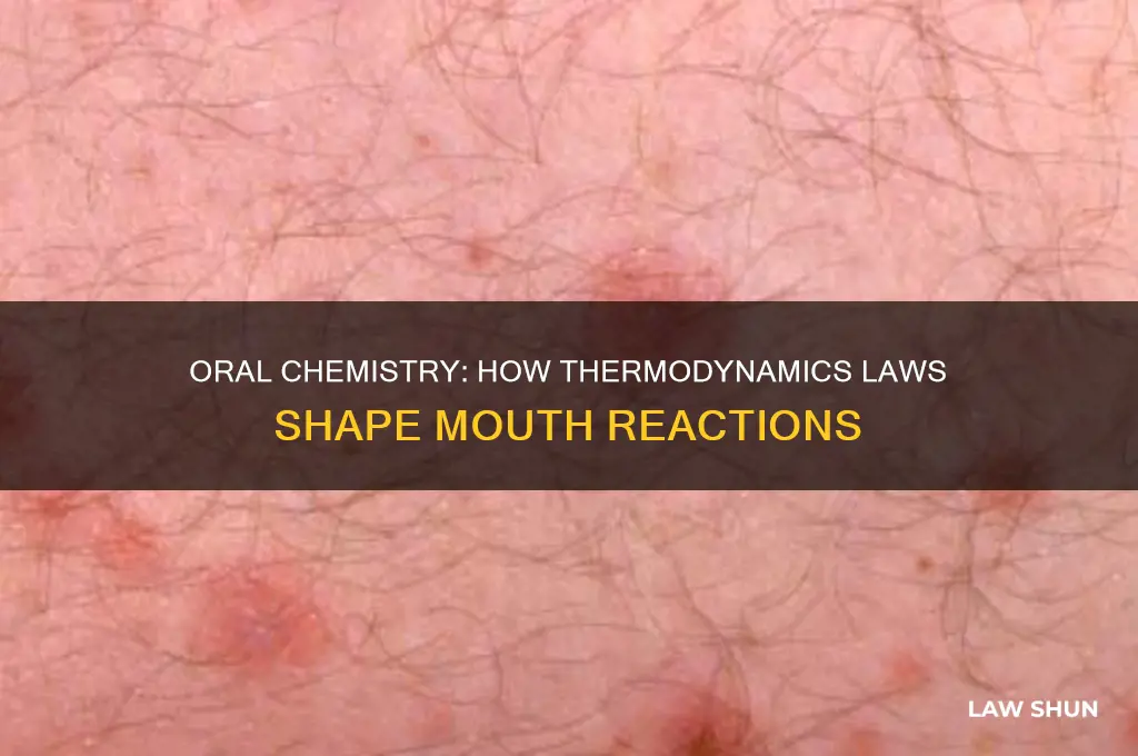 which formula in your mouth demonstrates this law of thermodynamics
