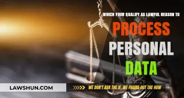 Understanding Lawful Reasons for Processing Personal Data: Key Insights