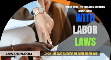 Ensuring Compliance with Labor Laws: A Key HR Function