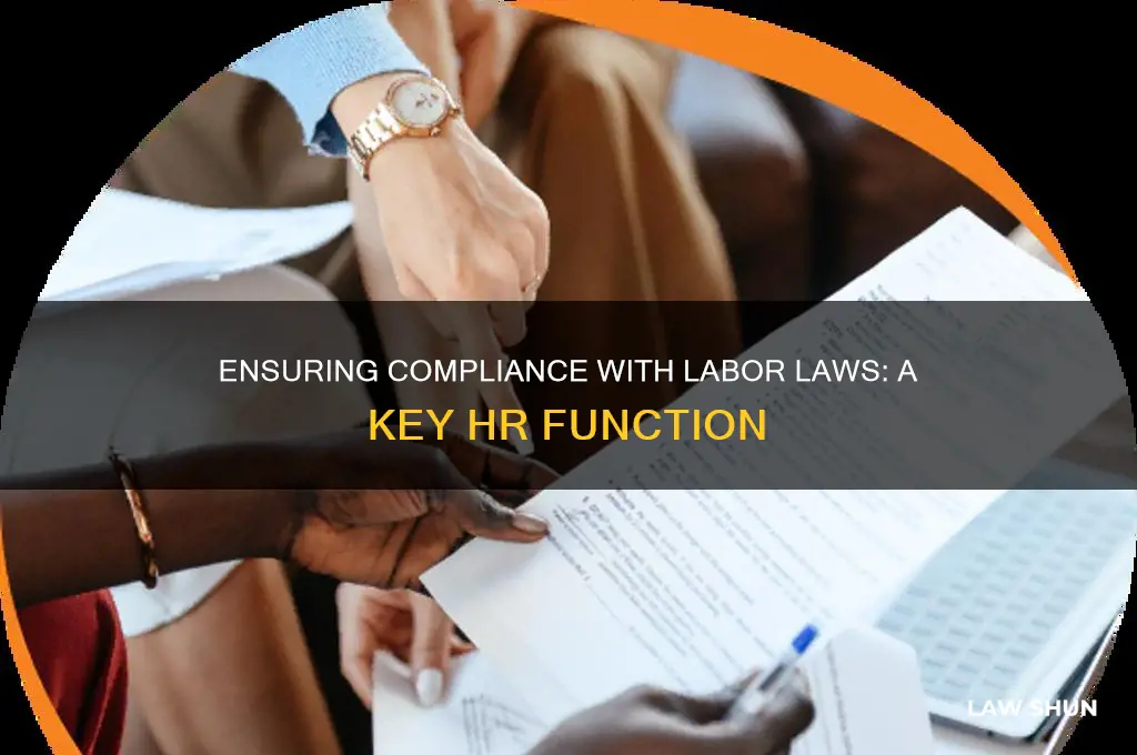which function includes ensuring compliance with labor laws