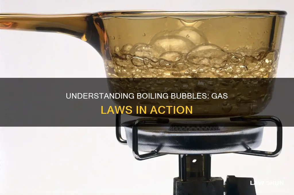 which gas law applies to boiling bubbles