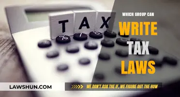 Who Can Write Tax Laws?