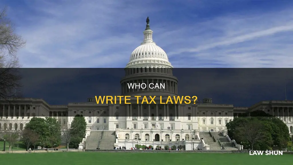which group can write tax laws
