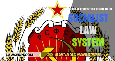 Exploring Nations Under the Socialist Legal System Framework