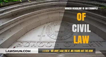 Understanding Civil Law: Identifying Headline Examples and Key Principles