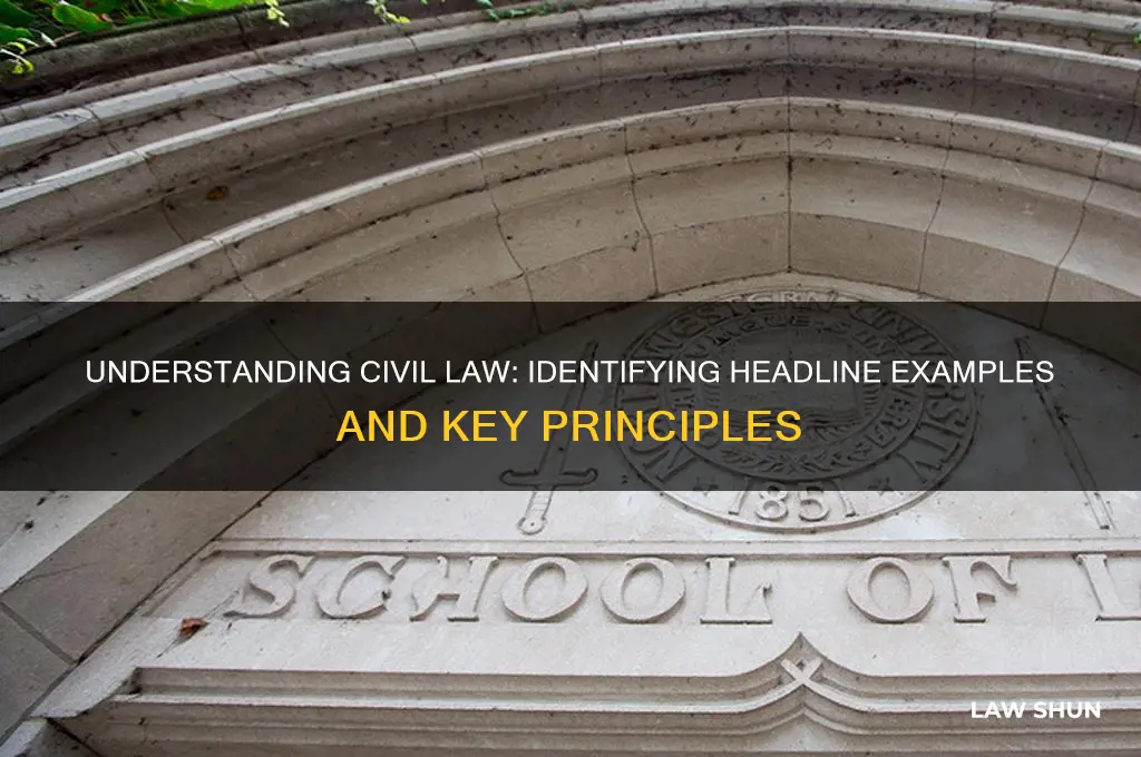 which headline is an example of civil law