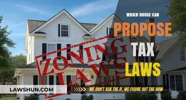 Who Can Propose Tax Laws?