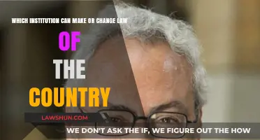 Who Holds the Power to Change Laws?