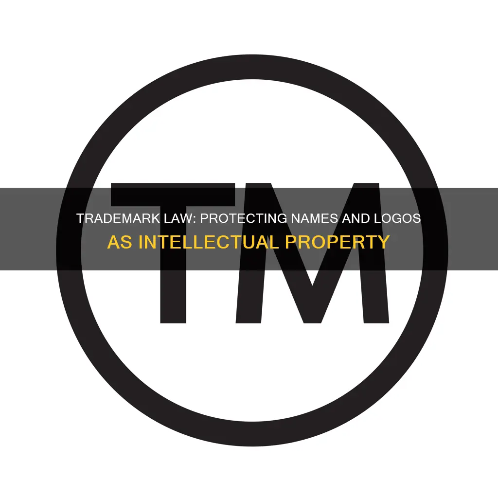 which intellectual property law applies to protecting names and logos