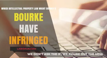 Dooney & Bourke's Legal Battle: Potential IP Law Infringement Explored