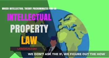 Dominant Intellectual Theories Shaping U.S. Intellectual Property Law Today