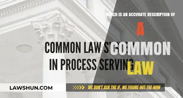 Common Law: Understanding the Basics