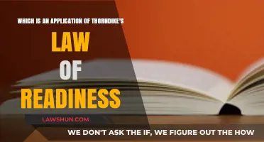 Applying Thorndike's Law of Readiness in Modern Learning Strategies