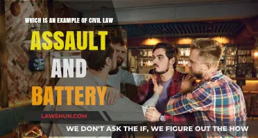 Understanding Civil Law: Assault and Battery Explained with Real-Life Examples