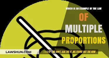 Understanding the Law of Multiple Proportions: A Carbon Monoxide Example