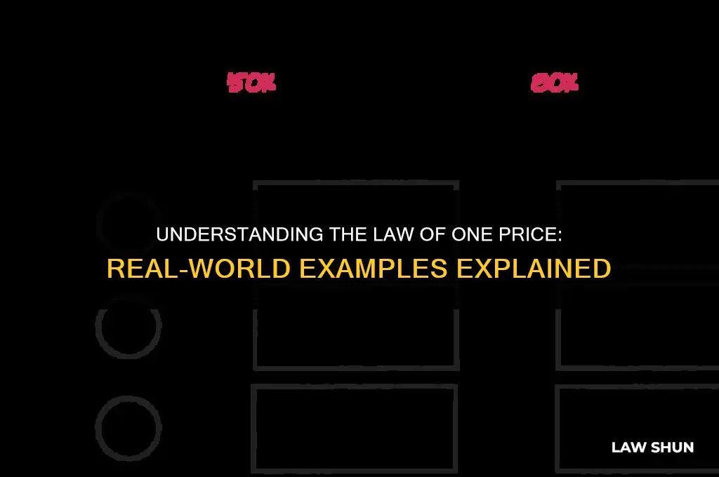 which is an example of the law of one price