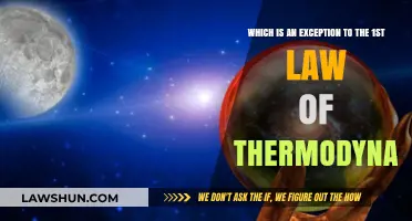 Exploring the Rare Exception to Thermodynamics' First Law