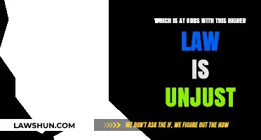 Higher Law vs. Injustice: Unraveling the Conflict of Unjust Practices