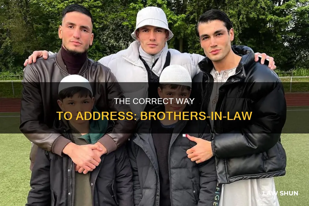 which is correct brothers in law or brother in laws