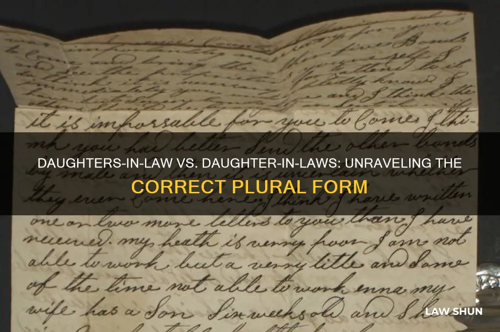 which is correct daughters-in law or daughter in laws