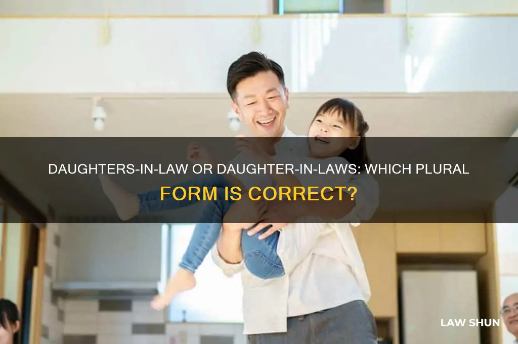 which is correct daughters-in-law or daughter-in