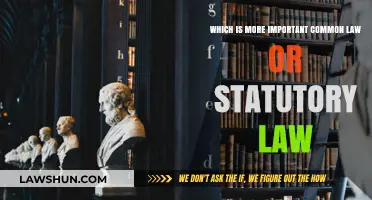 The Superior Source of Law: Common vs Statutory