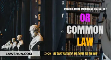 Common vs Statutory: Which Law Reigns Supreme?