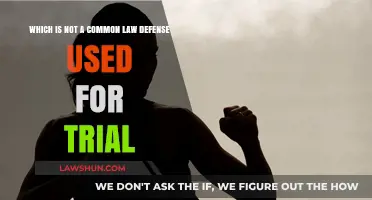 Common Law Defenses: What Won't Work in Trial