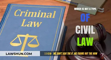 Understanding Civil Law: Identifying What Doesn't Fit the Category