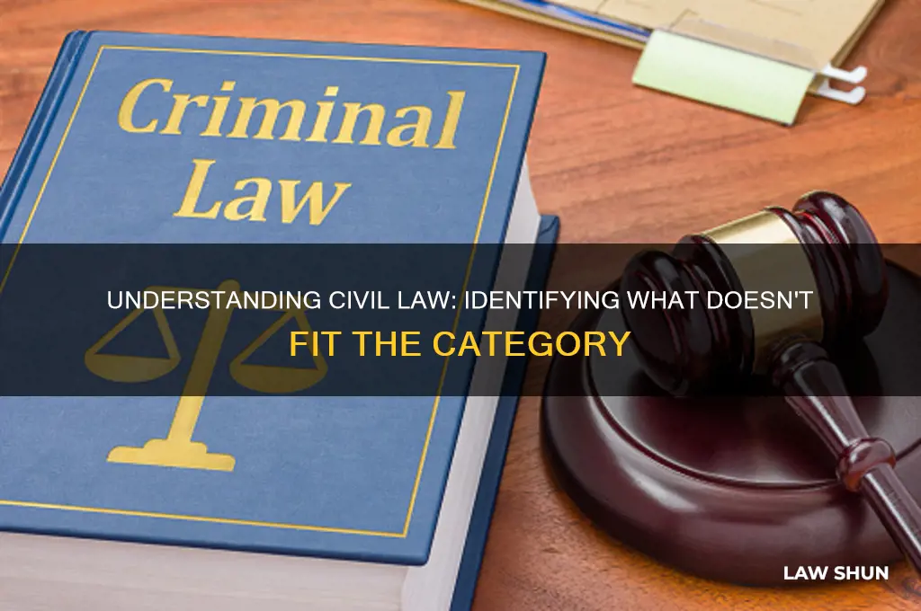 which is not a type of civil law