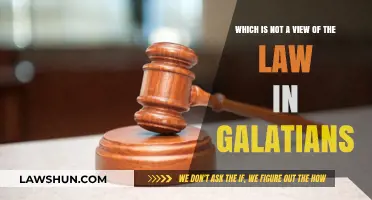 Galatians' Legal Perspectives: Identifying the Outlier Interpretation