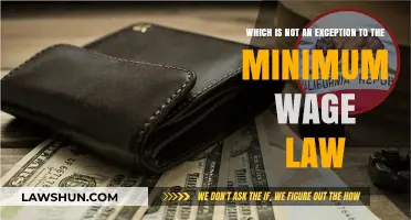 Understanding Minimum Wage Law: What Doesn't Qualify as an Exception